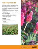 CRIMSON CLOVER