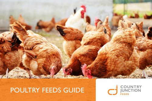 POULTRY FEEDS GUIDE