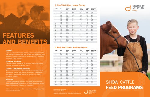 SHOW CATTLE FEED PROGRAMS