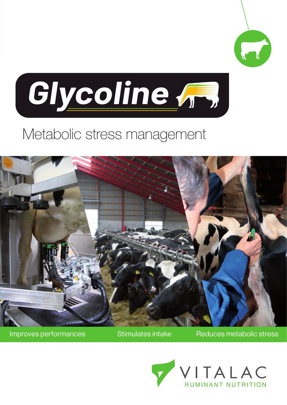 Glycoline - VITALAC