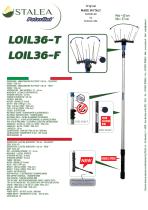 Loil 36- T- F