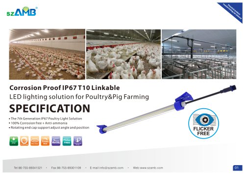 IP67 LED lighting solution for Poultry&Pig Farming