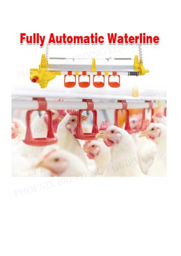 Automatic Chicken Nipple Drinker Line System and Feeding Pan System