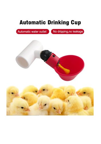 Automatic Chicken Water Cup