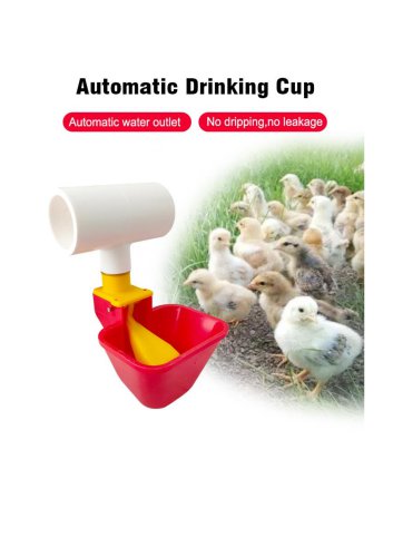 Automatic Chicken Water Cup