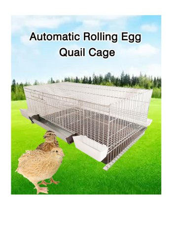 Automatic Rolling Egg Quail Cage
