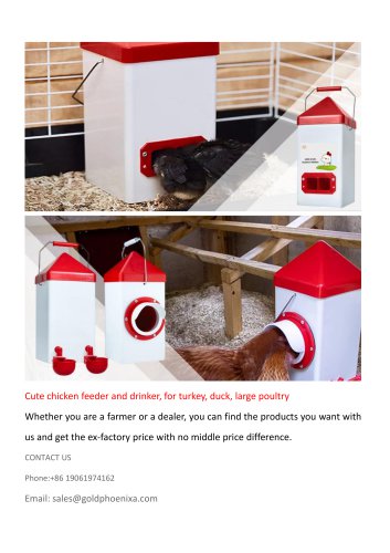 Cute Poultry Feeder and Drinker