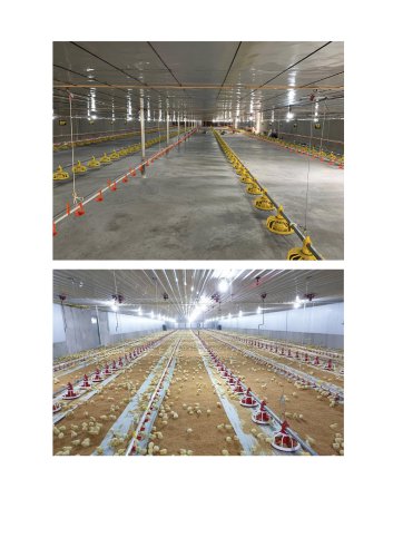 Different Chicken House Equipment