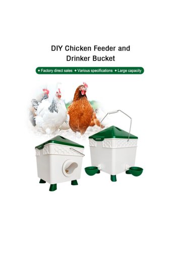 DIY chicken feeder and drinker bucket for backyard poultry farming