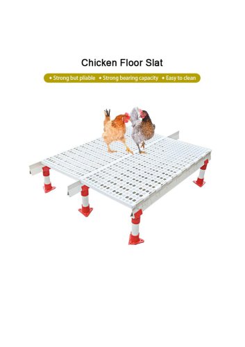 Durable Plastic Chicken Floor Slat (Poultry Coop Raising Platform)