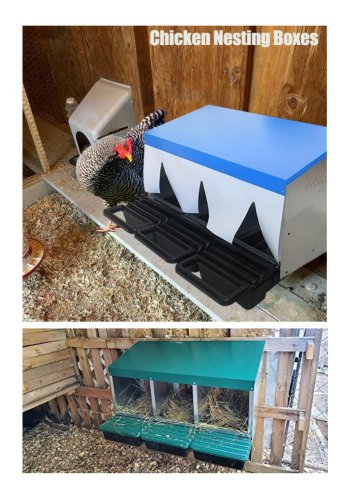 Metal Chicken Nesting Box