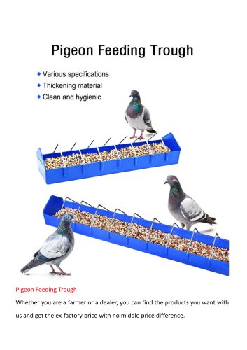 Piegeon Feeding Trough
