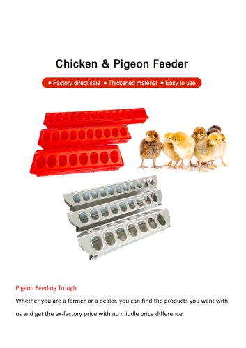 Piegeon Feeding Trough