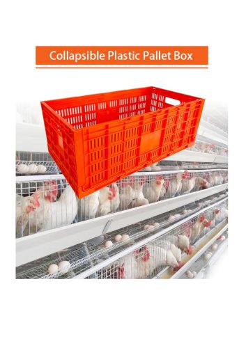 Plastic Egg Transport Cage with Egg Tray