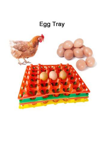 Plastic Egg Tray for 30 Eggs
