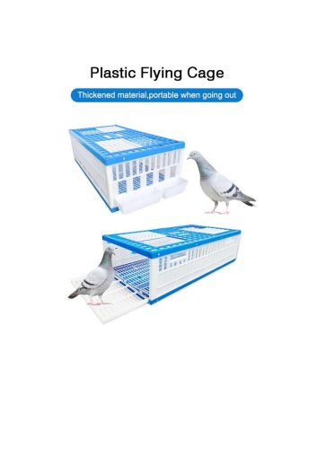 Plastic Three Doors Bird Transportation Cage Poultry Racing Pigeon Cages Training Cage with Feeder and Drinker Box