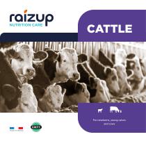 Ruminant Catalogue