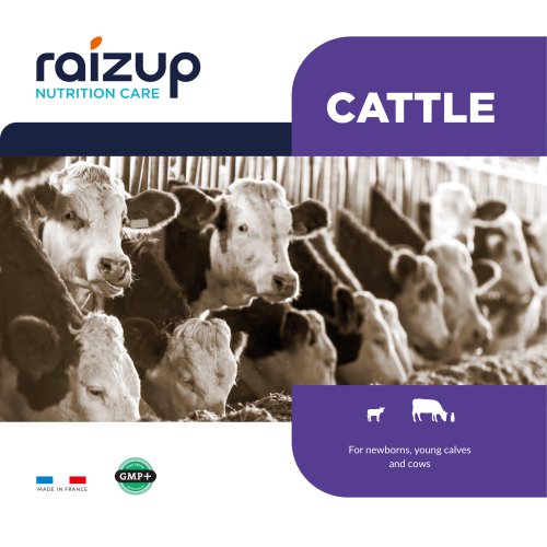 Ruminant Catalogue