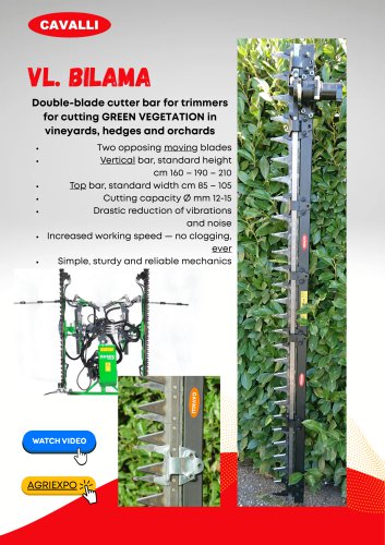 VL. BILAMA