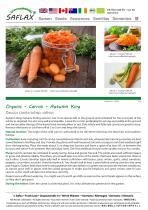 Organic - Carrot - Autumn King