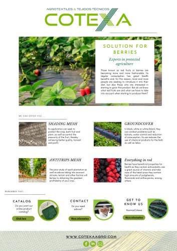 SOLUTION FOR BERRIES