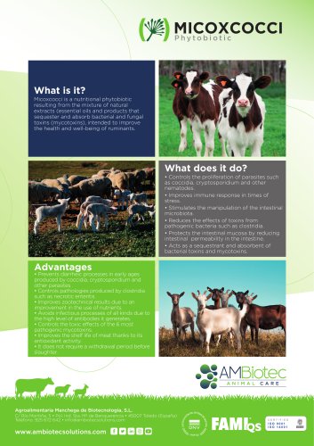 Micoxcocci &middot; Product brochure