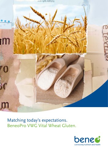 Vital Wheat Gluten brochure