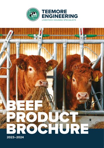 BEEF