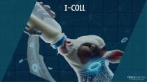 I-COLL