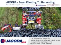 ARONIA
