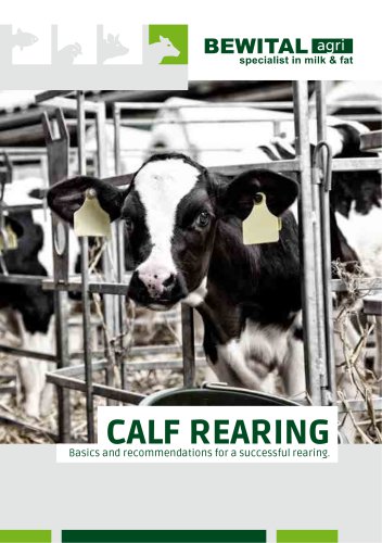 CALF REARING