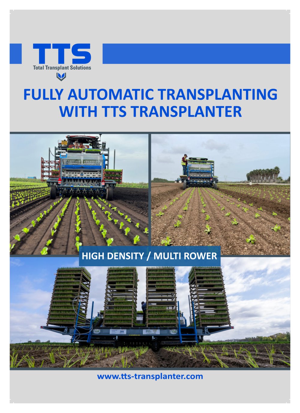 High density multi rower - TTS Tolenaars Transplanting Services